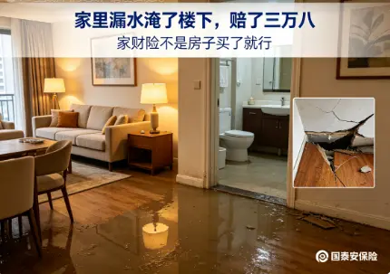 图片 (3).webp